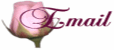 pattylarau@hotmail.com